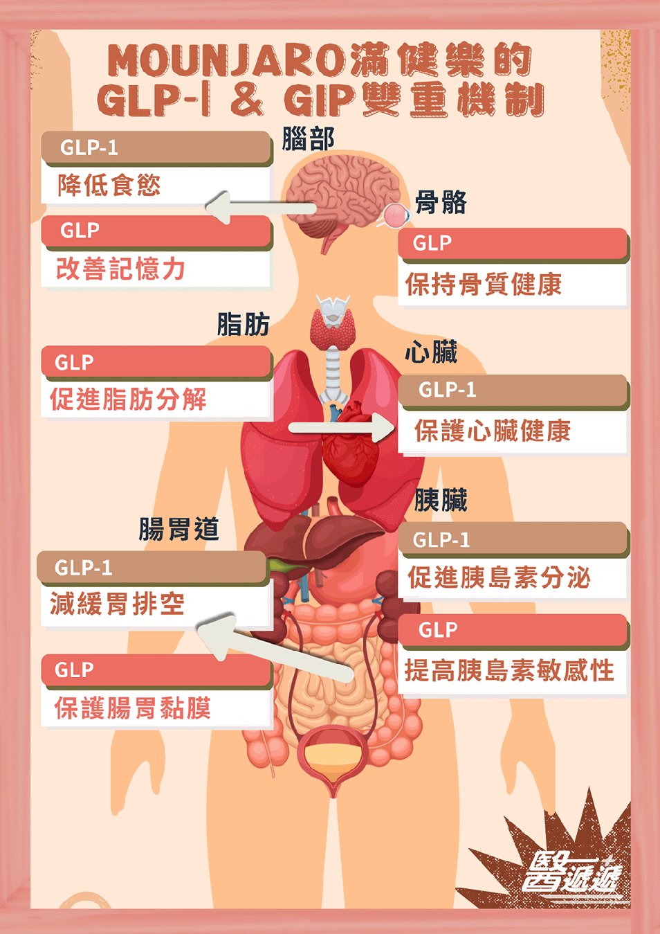 glp-1 side effects risks Your guide to GLP-1 side effects